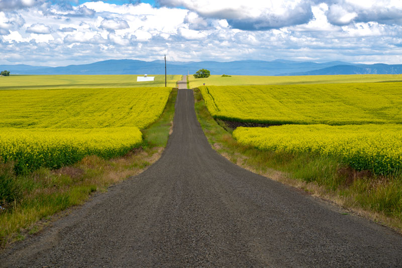 Camas Prairie